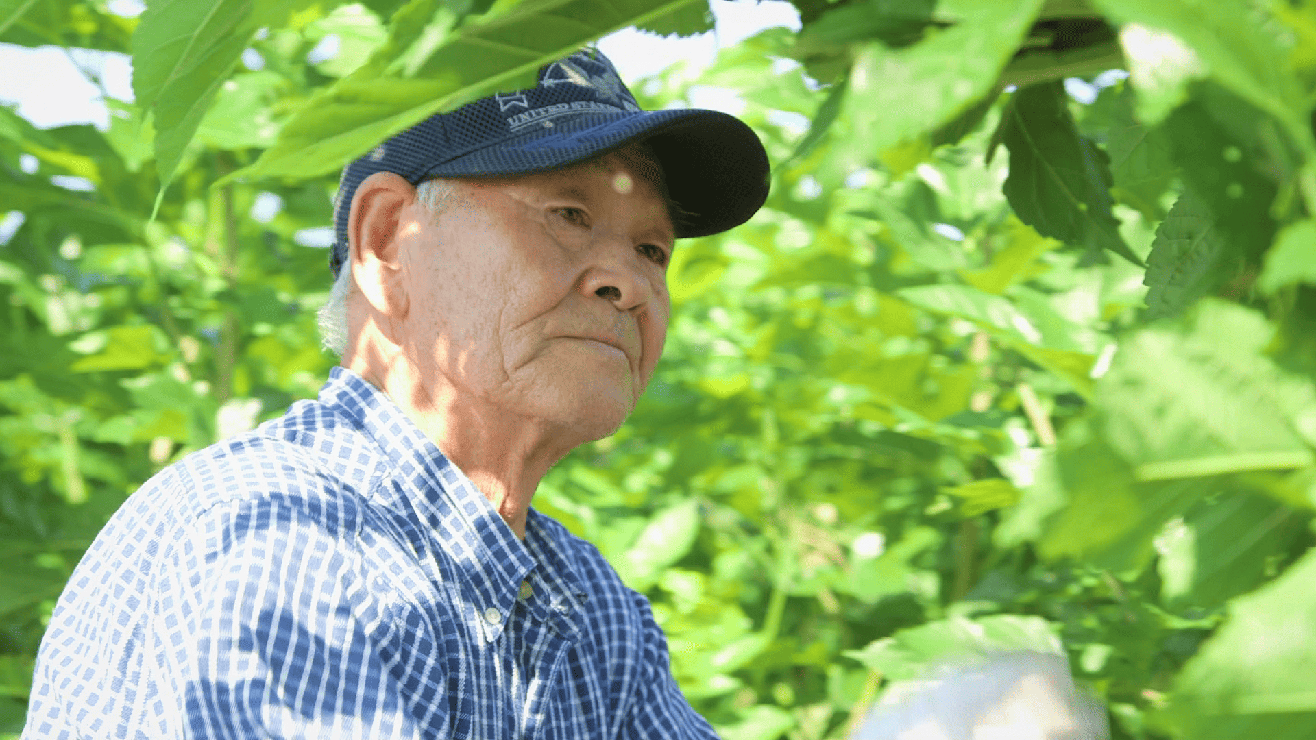 下山菊夫